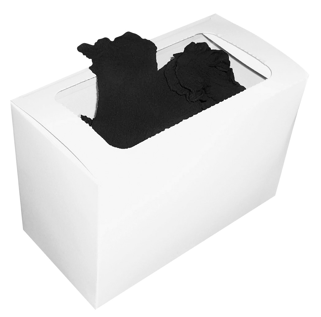 20 DEN Feinsöckchen für Schuhanprobe in schwarz