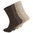 men cotton socks without elastic top in brown colors