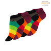 Vincent Creation® ladies trainer socks "RAINBOW"